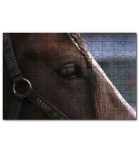 Cakapuzzle Yelesi Örülü Kahverengi At Yakın Çekim Puzzle Yapboz MDF (Ahşap) (120 Parça)