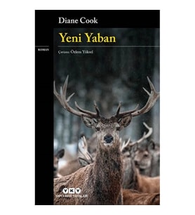 Yeni Yaban