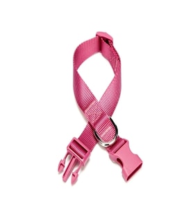 Dokuma Köpek Boyun Tasması 2 cm x 30-45 cm Mor