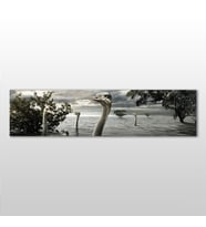 Göldeki Ördekler  Kanvas Tablo 270x90cm (Karışık)