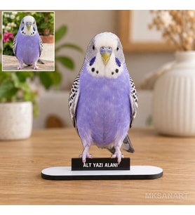 Fotoğraftan Tasarlanan Evcil Hayvan Fotoğraflı MDF Karikatürlü 18 cm MDF Masaüstü Biblo - Masaüstü Hediye 3. Model