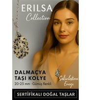 Sertifikalı Gümüş Tel Sargılı Doğal Dalmaçya Jasper Taşı Kolye – 25-30 mm Neşe ve Denge Taşı (Çok Renkli)
