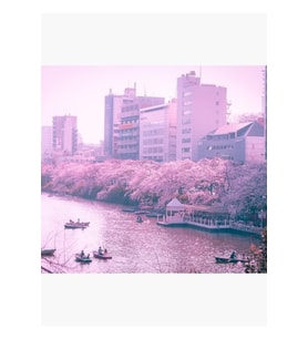 Vaporwave 80'lerin Anime Vibes'i Tokyo Japonya'da Bir Nehirde. Tablo Ahşap Poster Dekoratif