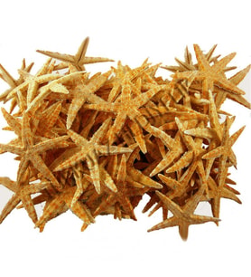 Deniz Yıldızı Natural 3 Cm - 4.5 Cm (100 Adet)
