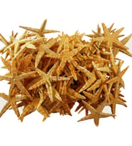 Deniz Yıldızı Natural 3 Cm - 4.5 Cm (100 Adet)