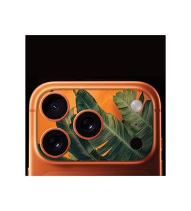 iPhone 17 Pro Tam Kaplayan Kamera Çerçeve Koruyucu Desenli Baskılı - GREEN WAMP
