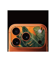 iPhone 17 Pro Tam Kaplayan Kamera Çerçeve Koruyucu Desenli Baskılı - GREEN WAMP