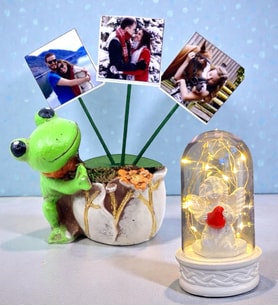 Sizlere Özel Hediye Seti 3 Fotoğraflı Kurbağa Tasarımlı Saksı ve Led Işıklı Fanus (Model 3)