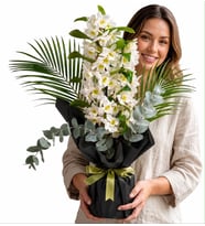 Butik Tasarım Buketli Saksıda Dendrobium