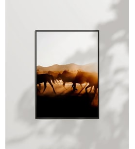 Çöl Gün Batımında Develer Poster