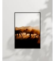 Çöl Gün Batımında Develer Poster (Çok Renkli)