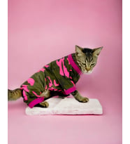 Pinky Camouflage Penye Tulum Kedi Tulumu Kedi Elbisesi (Gri)