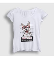 Presmono Kadın Beyaz Beware Husky Dog Köpek T-Shirt 411769tt