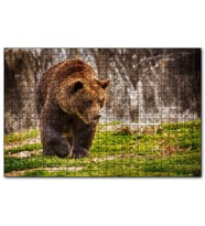 Cakapuzzle  Boz Ayı Ormanda  Puzzle Yapboz MDF (Ahşap) (120 Parça)