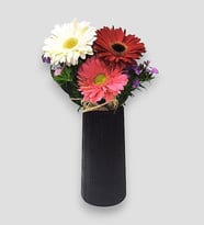 Siyah Çizgili Vazoda Kırmızı, Beyaz, Pembe Gerbera