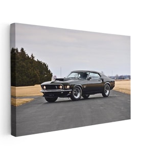 Yatay Kanvas Tablo 1969 Ford Mustang Boss 429 Klasik Ford Tablosu Ev Ofis Duvar Dekoru