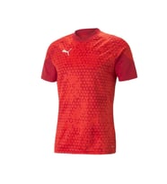 Puma Teamcup Training Jersey Erkek Futbol Tişörtü 65798401 Kırmızı