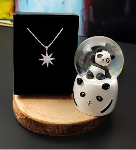Panda Mini Işıklı Kar Küresi& Gümüş Kutup Yıldızı Zirkon Taşlı Kolye Hediye Seti