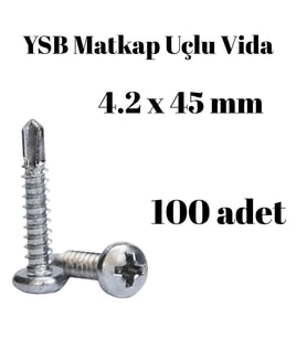 Yıldız Silindir Başlı 4.2x45 YSB Matkap Uçlu Akıllı Vida 100 Adet