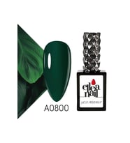 Profesyonel Kalıcı Oje 15 ml A0800
