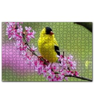 Cakapuzzle Pembe Çiçekli Dalda Sarı Siyah Kuş  Puzzle Yapboz MDF (Ahşap) (120 Parça)
