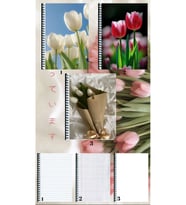 Lale 3 adet defter A4 büyük boy çizgili_kareli_çizgisiz