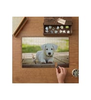 Yavru Beyaz Köpek Tasarımı 240 parça Ahşap Puzzle Ahşap Kutuda MP02974