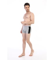 pilelistore Çift Kaplan 850 Biyeli Likralı Erkek  Boxer (Gri)