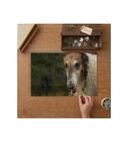 Rus Borzoy Cinsi Köpek Tasarımı 240 parça Ahşap Puzzle Ahşap Kutuda MP01093