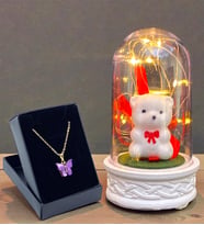 Led Işıklı Tasarımlı Fanus ve Kelebek Kolye Hediye Seti Premium Hediye Set (Model 7)