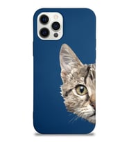 Apple iPhone 12 Pro Max Uyumlu Lansman Kılıf Catface Tasarımlı Altı Kapalı İçi Kadife Kaplı  Kapak (Şeffaf)