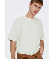 ONSKIAN LIFE RLX SS STRP TEE Egret