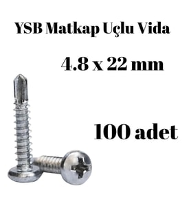 Yıldız Silindir Başlı 4.8x22 YSB Matkap Uçlu Akıllı Vida 100 Adet