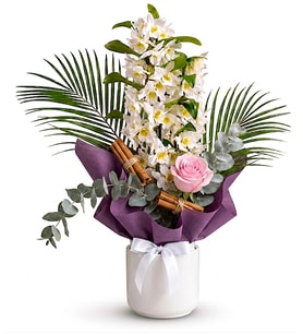 Beyaz Saksıda Mor Buketli Deluxe Dendrobium Orkide