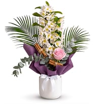 Beyaz Saksıda Mor Buketli Deluxe Dendrobium Orkide