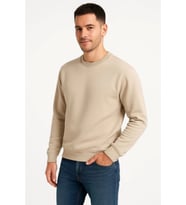 Erkek Üç İplik Düz Bisiklet Yaka SweatShirt - Bej
