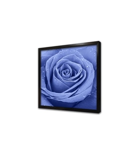 Gül ve Üzerindeki Su Damlacıkları Çerçeveli Mdf Tablo
