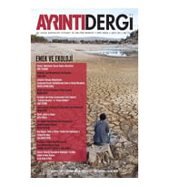 Ayrıntı Dergi - Güz 2024 (47. Sayı)