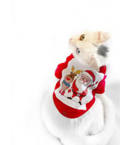 Noel Baba Ve Rudolph Kedi Tişörtü  (Kırmızı)