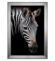 Hayvanlar Temalı Kanvas Tablo 80 x 110 cm Silver Çerçeve