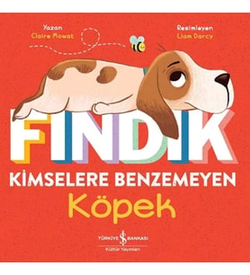 Fındık Kimselere Benzemeyen Köpek