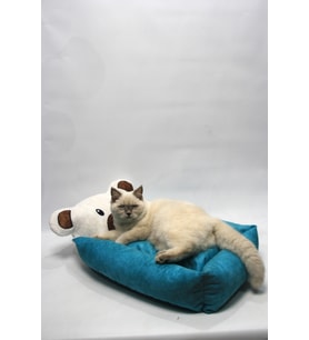 Mavi Ayılı Kedi ve Küçük Irk Köpek Yatağı 40x55 cm
