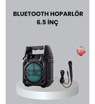 10W Gücünde Kablosuz Hoparlör – Şarjlı FM Radyolu ve Taşınabilir