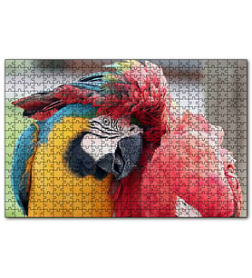 Cakapuzzle İki Amerika Papağanı Sarılmaca Görseli  Puzzle Yapboz MDF (Ahşap) (120 Parça)