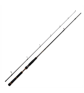 Daiwa New BG Seabass 244 cm 14-42 gr 2 Parça Spin Olta Kamışı (Siyah)