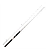 Daiwa New BG Seabass 244 cm 14-42 gr 2 Parça Spin Olta Kamışı (Siyah)