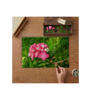 Ortan Çiçeği Tasarımı 240 parça Ahşap Puzzle Ahşap Kutuda MP05364