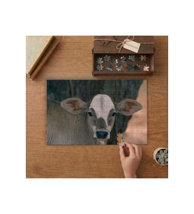 Yavru İnek - Buza Tasarımı 240 parça Ahşap Puzzle Ahşap Kutuda MP05307