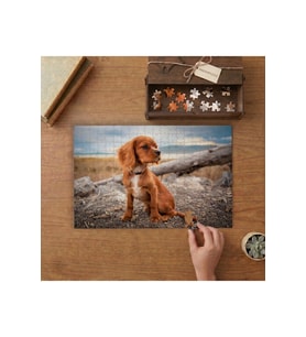 Sevimli Minik Köpek Tasarımı 240 parça Ahşap Puzzle Ahşap Kutuda MP03240