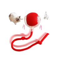 Şarjlı Kedi Oyuncağı (Çok Renkli)